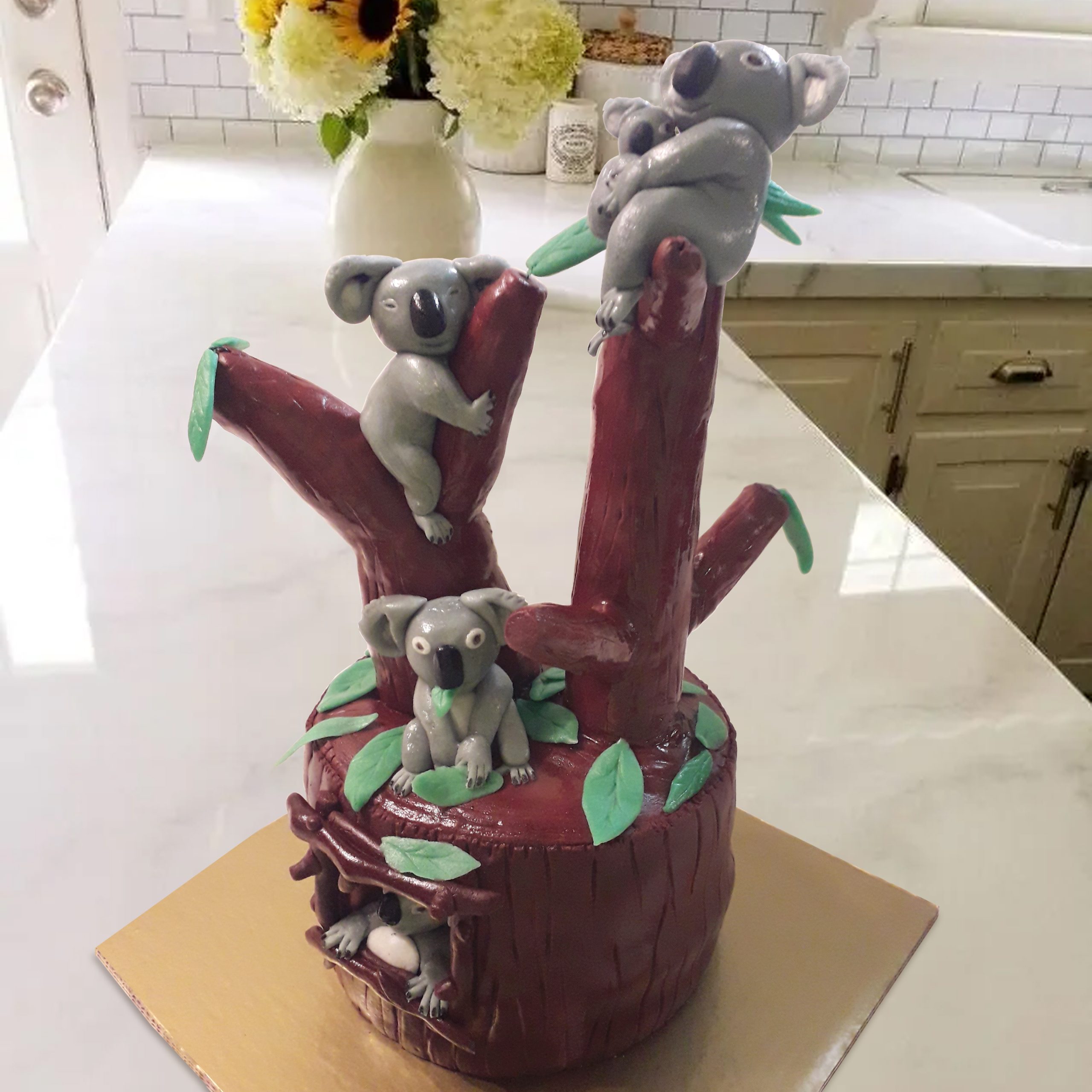 Koala fa torta