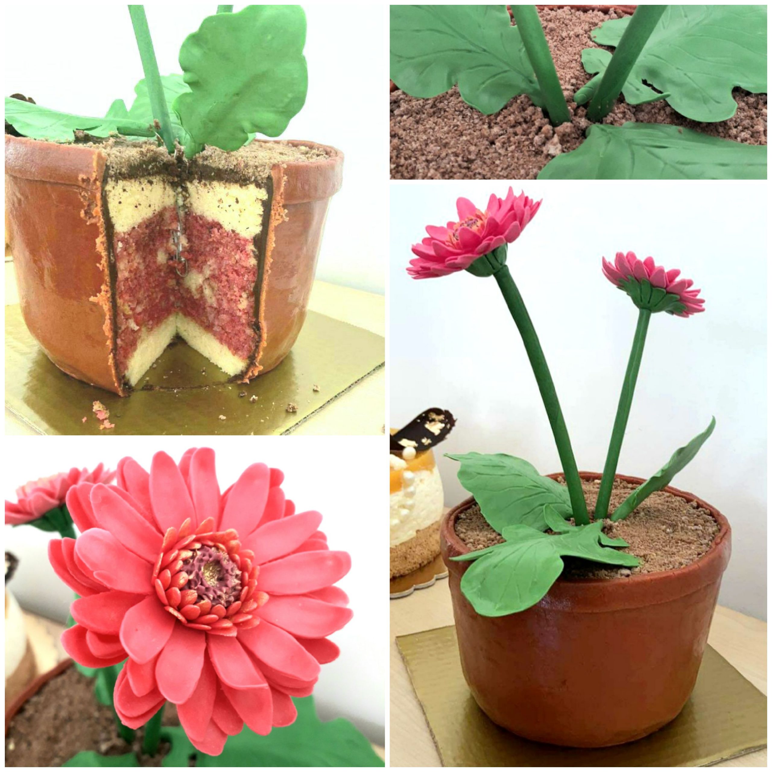 Cserepes virág torta
